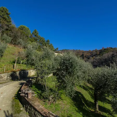 Il Paradiso By Interhome Massa e Cozzile