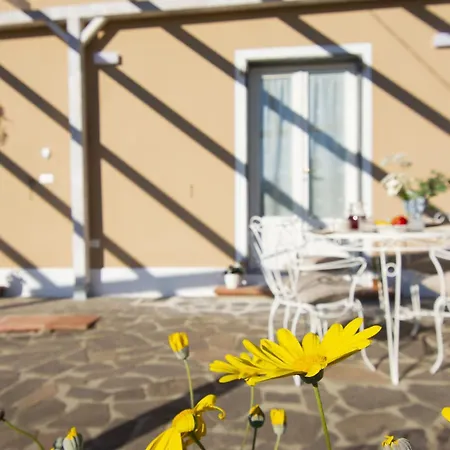 Il Paradiso By Interhome *