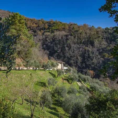Il Paradiso By Interhome