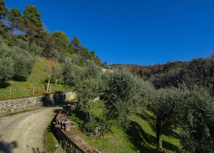 Il Paradiso By Interhome Massa e Cozzile
