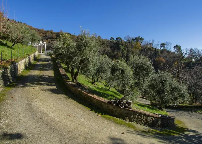 Il Paradiso By Interhome * Massa e Cozzile