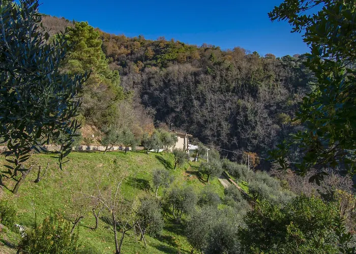 Il Paradiso By Interhome